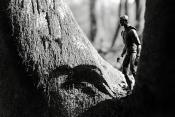 the thinking man casts his shadow 4-2023 7132